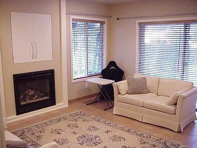 Lower Level Den