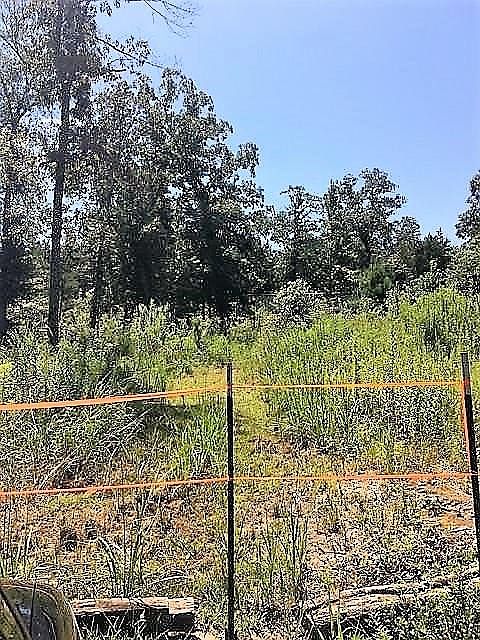 1st image of 2201 Vz County Road 4709