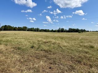 County Road 661, Samson, AL 36477