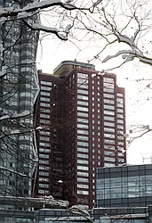 Rented by The Marketing Directors