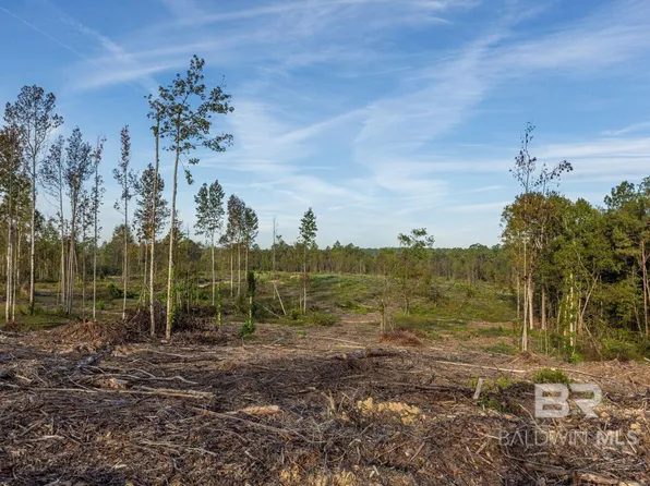 0 Whitehouse Fork Rd, Bay Minette, AL 36507