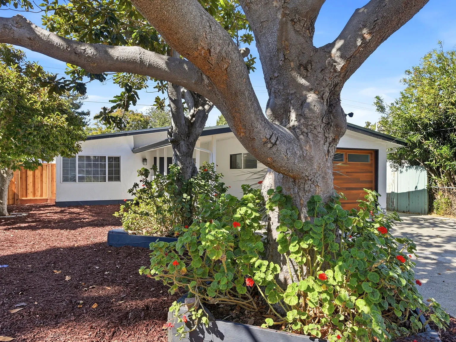 3 bed, 1200 sqft, $4,999 — Photo 2