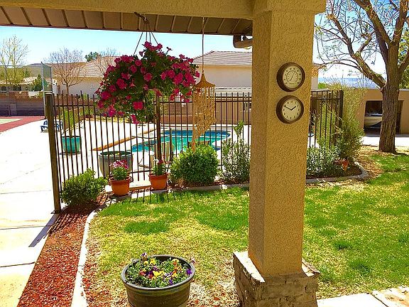  View from back door patio