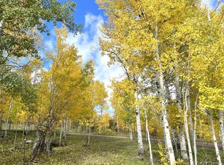 29795 Eddy Ct, Oak Creek, CO 80467