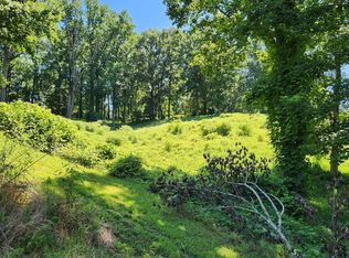 Foothills Dr, Blue Ridge, GA 30513