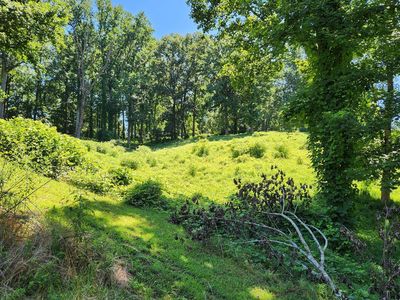 Foothills Dr, Blue Ridge, GA, 30513
