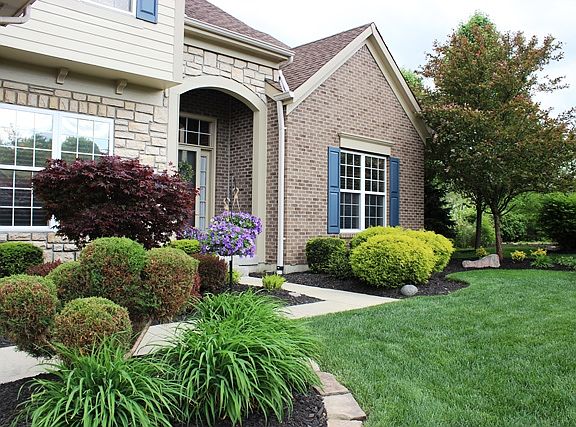 3rd image of 7890 Royal Fern Ct