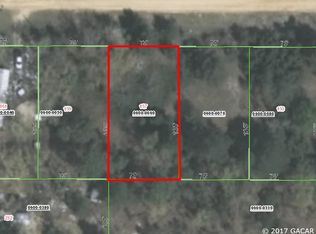 157 Rhine St, Interlachen, FL 32148