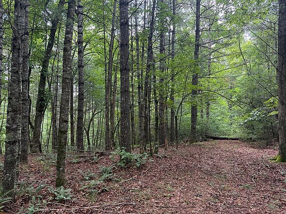 4th image of 0 Younce Creek Rd