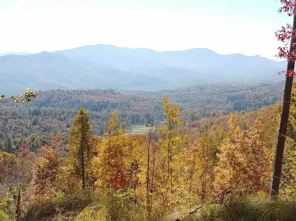 49 Pasture View Trl, Bryson City, NC 28713