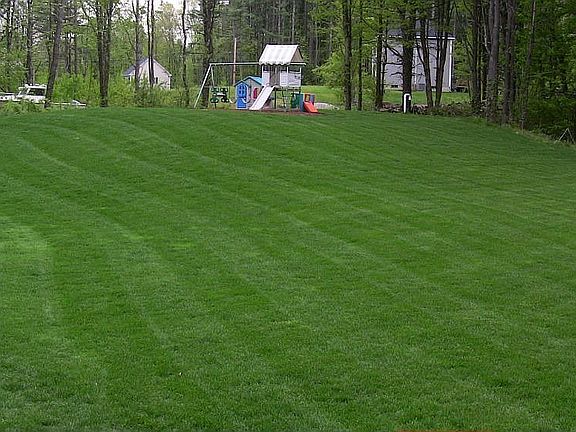 Back yard with swingset