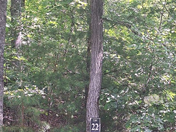 4th image of 0 Meadow Brook Trl