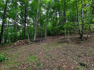 Willow Ln, Greeneville, TN 37743