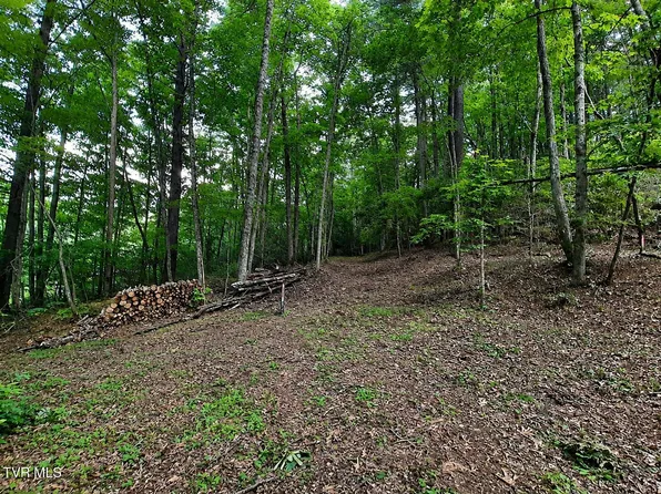Willow Ln, Greeneville, TN 37743