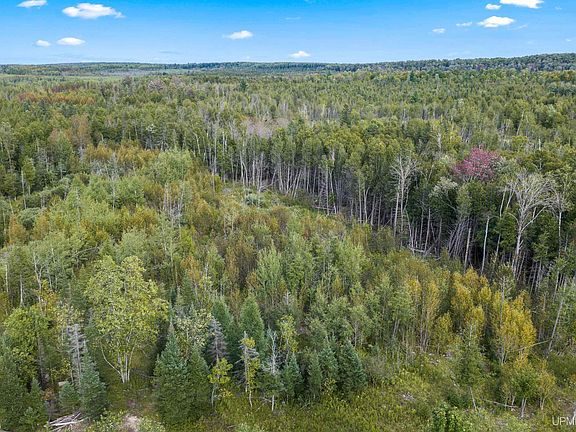 2nd image of Oro Rd
