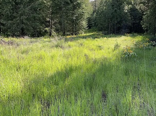 00 Mill Canyon Rd N, Davenport, WA 99122