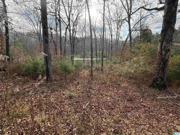 230 Tomahawk Trl, Riverside, AL 35135