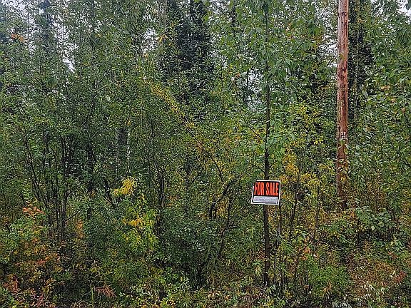 4th image of E Montana Creek Rd