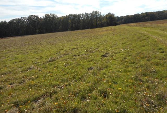 1st image of 2500 County Road 3520