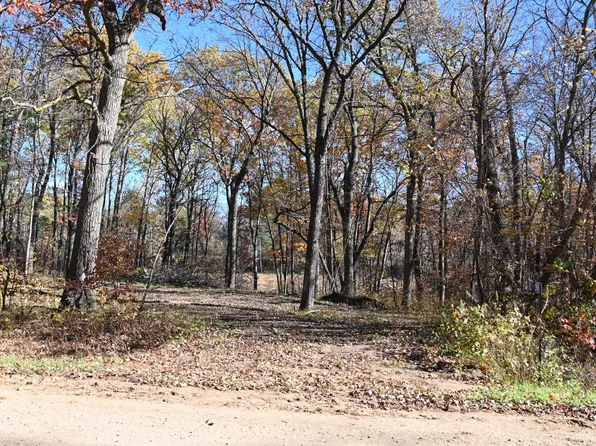 39884 Pine Island Point Dr, Browerville, MN 56438