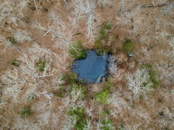 000 County Road 302, Alton, MO 65606