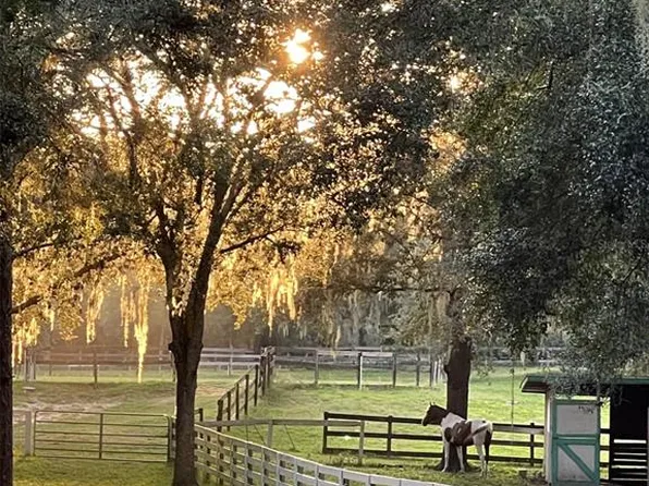 Trilby Trails Trl Lot 146, Dade City, FL 33523