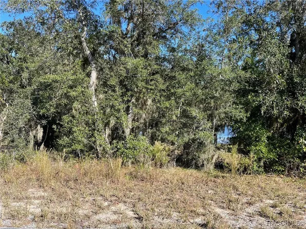 Lots 444 445 Sw Shorewood Dr, Dunnellon, FL 34431