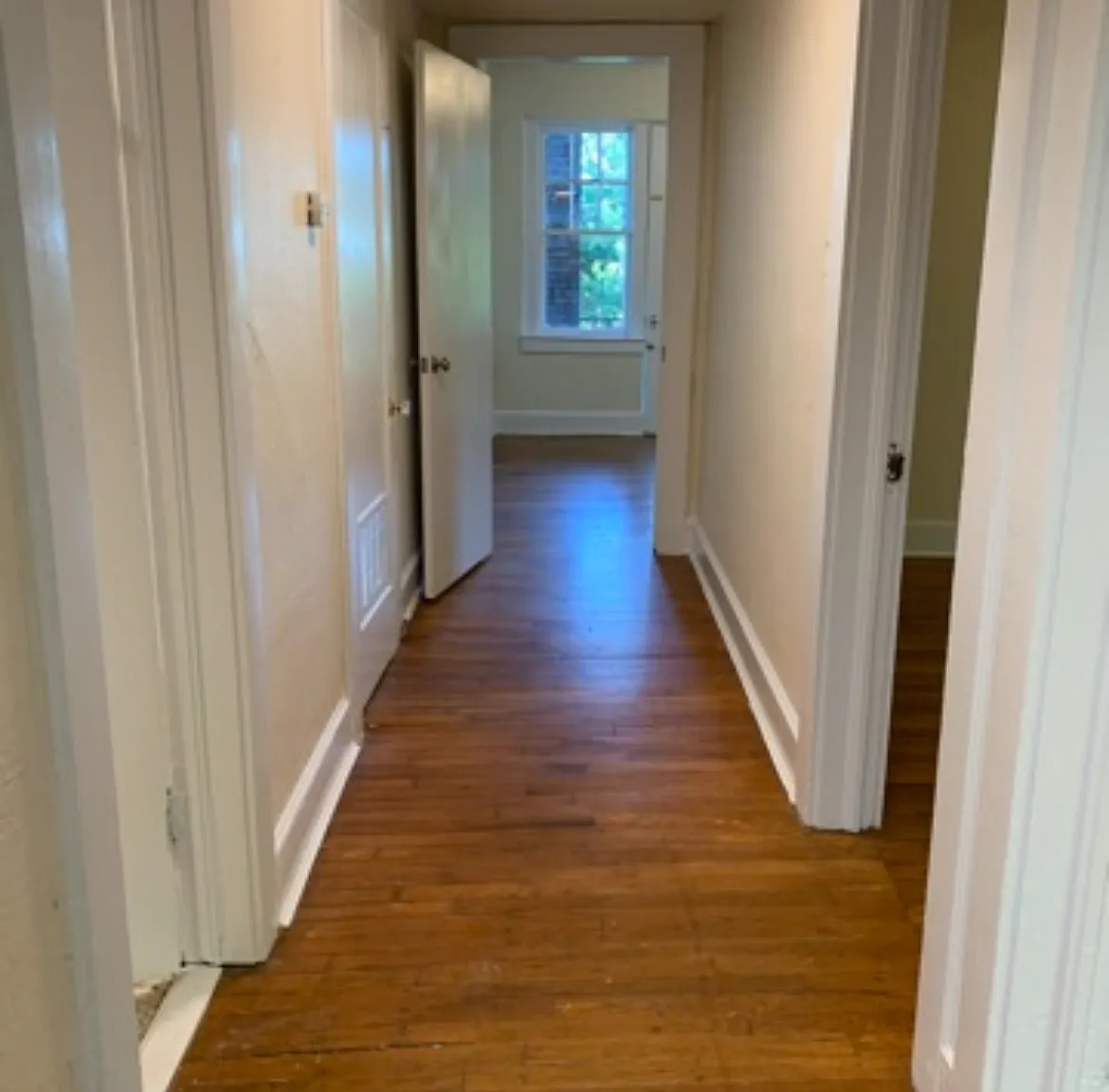 1 bed, 700 sqft, $1,250 — Photo 4