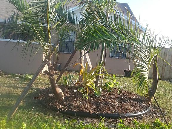 Front Yard