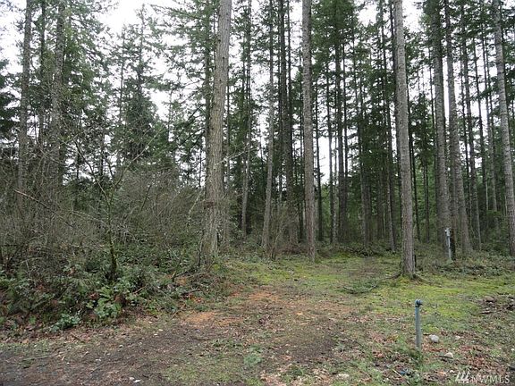 2nd image of 18306 SE Royal Wood Ct