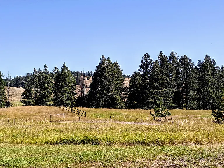 82 Jewel Trl — Photo 5