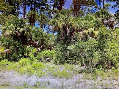 Sadnet Ln LOT 8, North Pt, FL, 34286