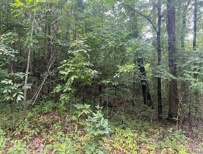 1 Rock House Rd, Brookwood, AL, 35444
