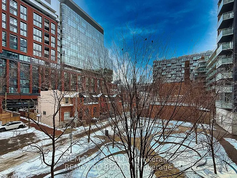 525 Adelaide St W #217 — Photo 18