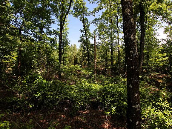 3rd image of 0 Baylor House Rd