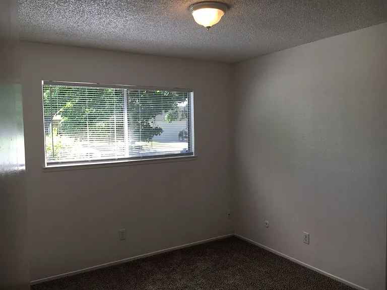 952 Mango Dr — Photo 6