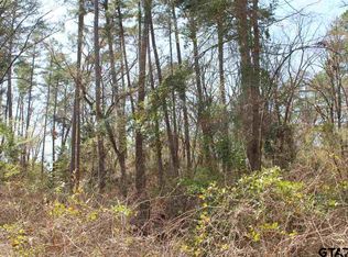 2 Private Road 8585, Winnsboro, TX 75494