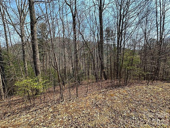 4th image of Wood Stone Dr #14