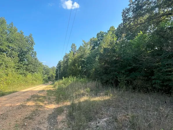 0 Young Cemetery Rd, Mc Ewen, TN 37101