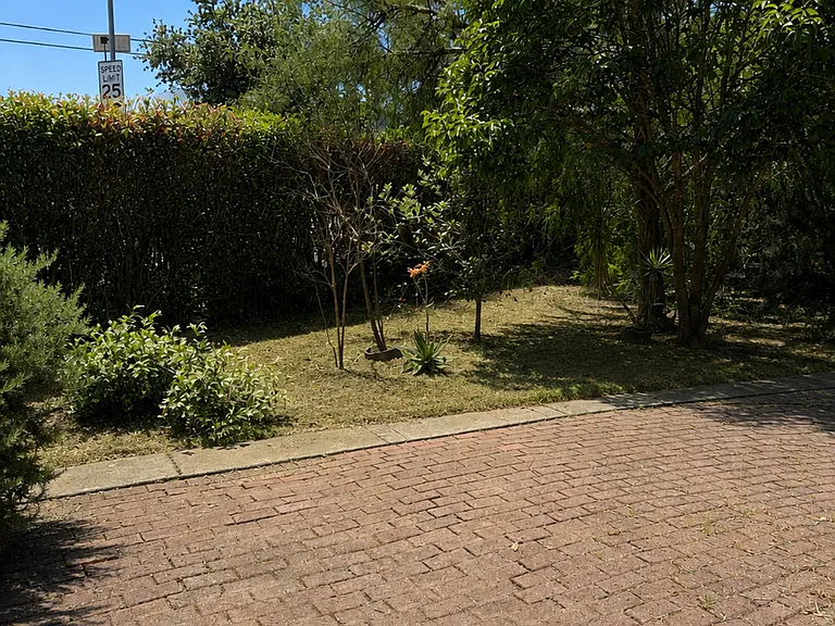1446 Sulphur Springs Ave — Photo 4