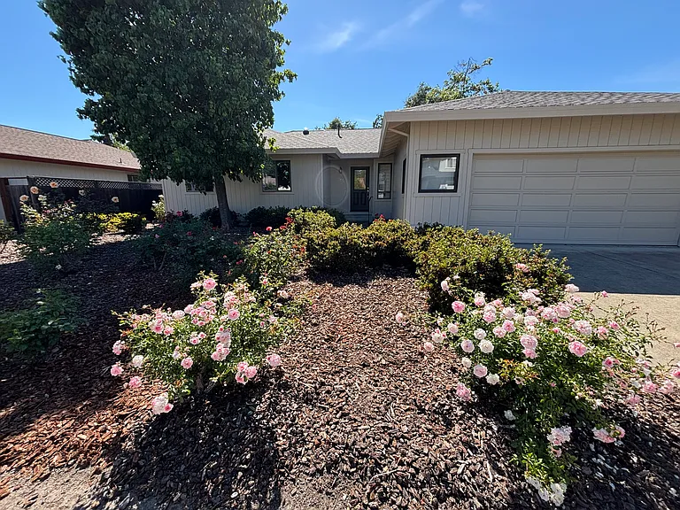 Eastside home with mature roses welcoming you