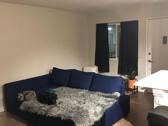 4th image of 4227 36th St APT 4