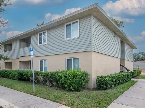 228 Berry Tree Pl, Brandon, FL 33510