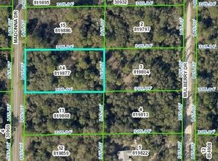 Madonna Dr, Webster, FL 33597