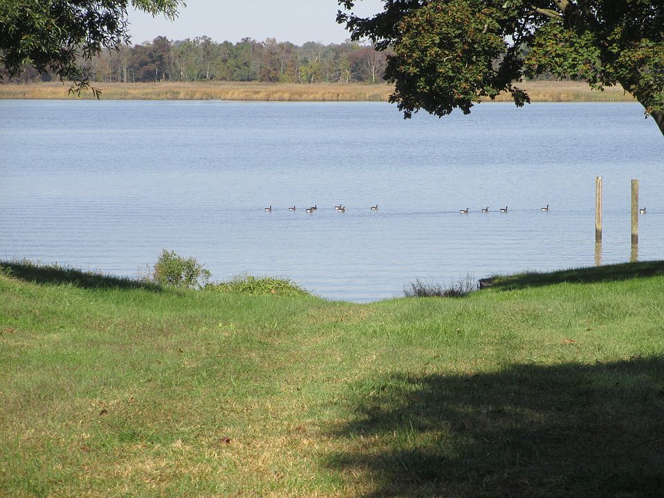 2nd image of 401 Pear Tree Point Rd