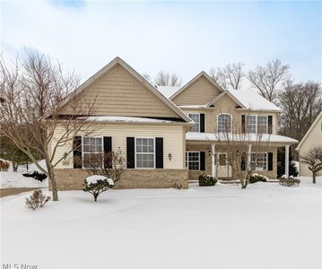 5532 Brook Run Dr, Medina, OH, 44256