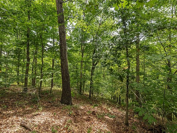 3rd image of Cullen Hills Dr #5