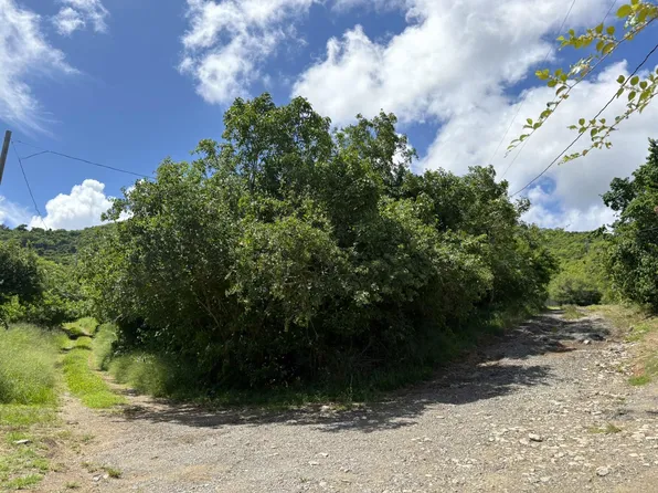 248 La Vallee NB, St. Croix, VI 00850