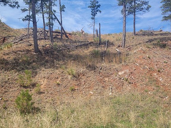 5th image of 12655 Sheps Canyon Rd