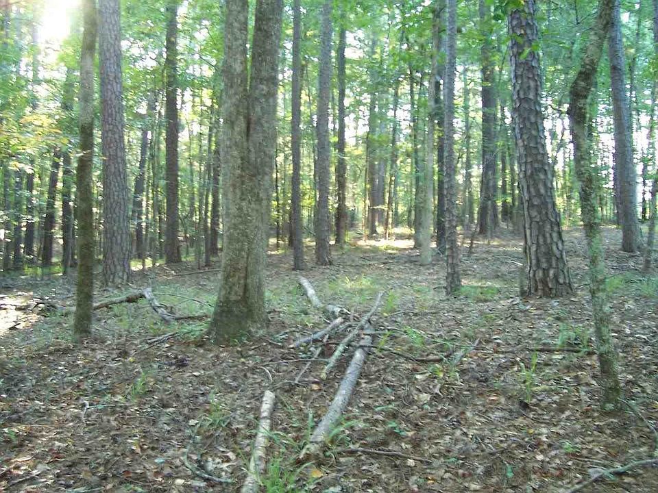 1st image of 1020 Maddux Ln